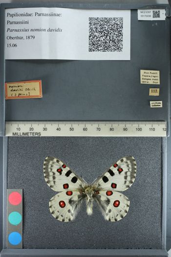 Media type: image;   Entomology 175038